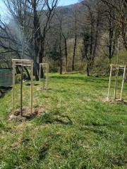 91544851_624506011441902_8288737907150159872_n (1)